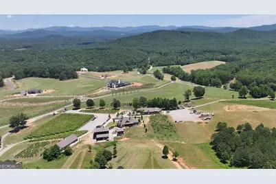 1281 Twisted Oak Road, Talking Rock, GA 30175 - Photo 29