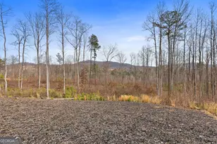 1281 Twisted Oak Rd, Talking Rock, GA 30175 - Photo 25