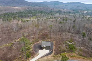 1281 Twisted Oak Rd, Talking Rock, GA 30175 - Photo 19