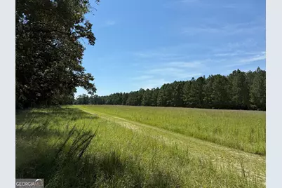 0 Sunbury Road #TRACT 6, Claxton, GA 30417 - Photo 1