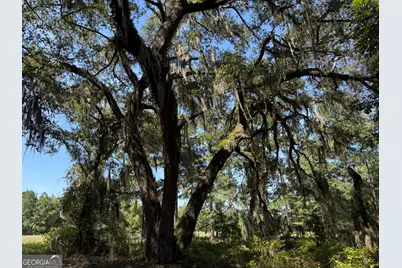 0 Sunbury Road #TRACT 6, Claxton, GA 30417 - Photo 5