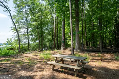 1231 Spinnaker Road, Buckhead, GA 30625 - Photo 67