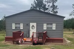 0000 Winchester Rd, Sylvania, GA 30467 - Photo 1