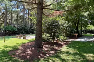 148 Swan Sanders Rd, Hartwell, GA 30643 - Photo 37