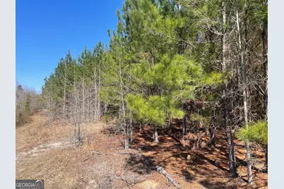 0002 Winchester, Sylvania, GA 30467 - Photo 1