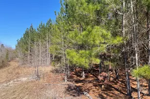 0002 Winchester, Sylvania, GA 30467 - Photo 1