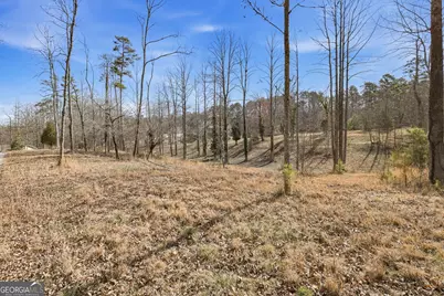 1046 Chase Road, Cornelia, GA 30531 - Photo 47