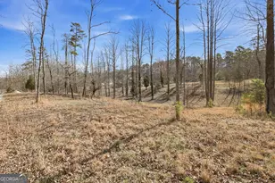 1046 Chase Rd, Cornelia, GA 30531 - Photo 47