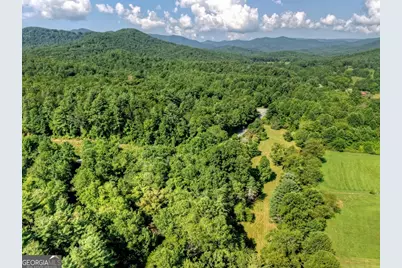 0 Hwy 2, Blue Ridge, GA 30513 - Photo 9
