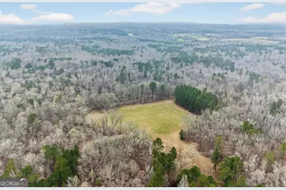 0 Hough Johnson Road, Haddock, GA 31033 - Photo 1