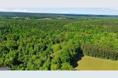 119 Hough Johnson Road, Haddock, GA 31033 - Photo 3