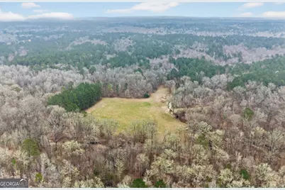 0 Hough Johnson Road, Haddock, GA 31033 - Photo 19