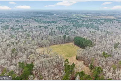 0 Hough Johnson Road, Haddock, GA 31033 - Photo 5