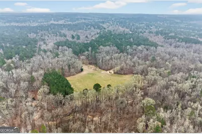 0 Hough Johnson Road, Haddock, GA 31033 - Photo 3