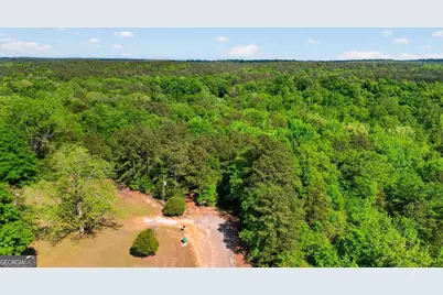 119 Hough Johnson Road, Haddock, GA 31033 - Photo 11