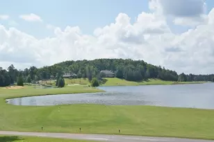 511 Viridian View, Peachtree City, GA 30269 - Photo 109