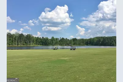 511 Viridian View, Peachtree City, GA 30269 - Photo 107