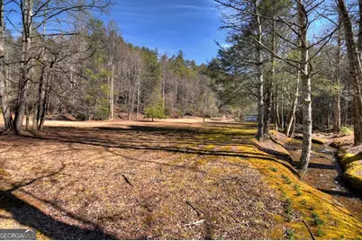 7233 Shakerag Road, Ellijay, GA 30540 - Photo 117