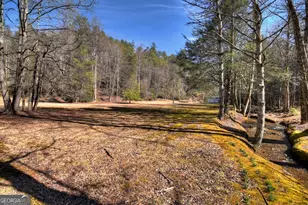 7233 Shakerag Rd, Ellijay, GA 30540 - Photo 117