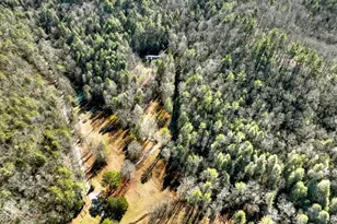 7233 Shakerag Rd, Ellijay, GA 30540 - Photo 101