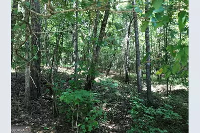 0 Lot 204 Jamesway Drive, Sparta, GA 31087 - Photo 5