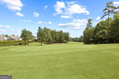 810 Dusky Sap Court, Griffin, GA 30223 - Photo 35