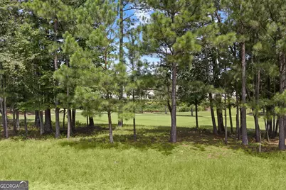 810 Dusky Sap Court, Griffin, GA 30223 - Photo 33