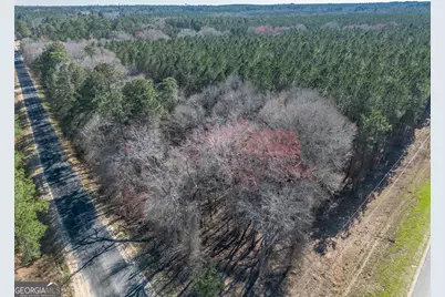 Lot 5 Golf Course Road, Eastman, GA 31023 - Photo 5