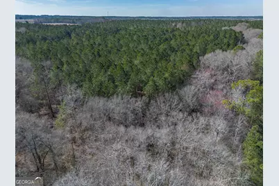 Lot 5 Golf Course Road, Eastman, GA 31023 - Photo 7