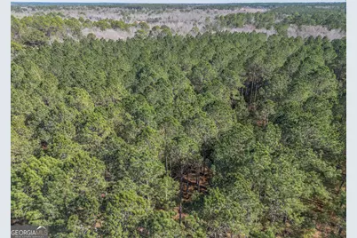 Lot 5 Golf Course Road, Eastman, GA 31023 - Photo 3