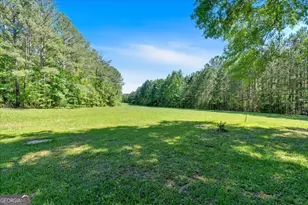 179 Hogan Rd, Brooks, GA 30205 - Photo 43