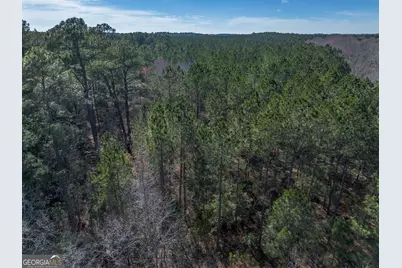 Lot 6 Golf Course Road, Eastman, GA 31023 - Photo 5