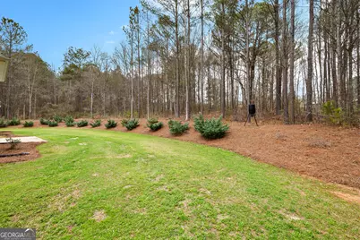 67 Spear Circle, Senoia, GA 30276 - Photo 53
