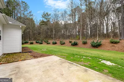 67 Spear Circle, Senoia, GA 30276 - Photo 51
