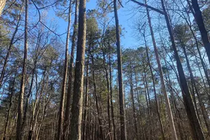 0 Corinth-Five Points Rd, Buchanan, GA 30113 - Photo 1