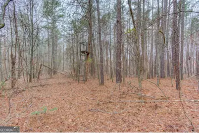 0 Sunshine Road, Toccoa, GA 30577 - Photo 5