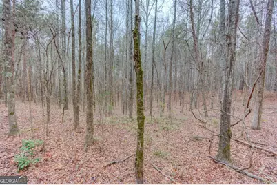 0 Sunshine Road, Toccoa, GA 30577 - Photo 1