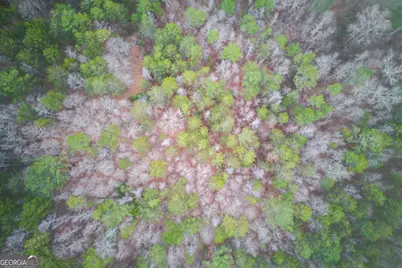 0 Sunshine Road, Toccoa, GA 30577 - Photo 3