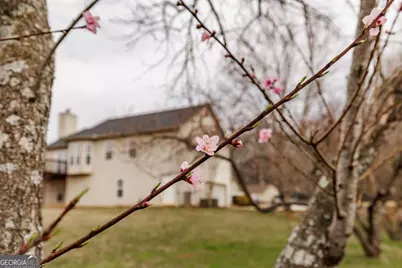 871 Jefferson Walk Circle, Jefferson, GA 30549 - Photo 43