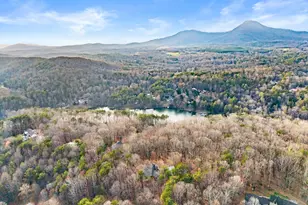 737 Cedar Hollow Rd, Cleveland, GA 30528 - Photo 53