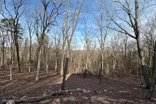 245 Frontier Cir, Summerville, GA 30747 - Photo 5