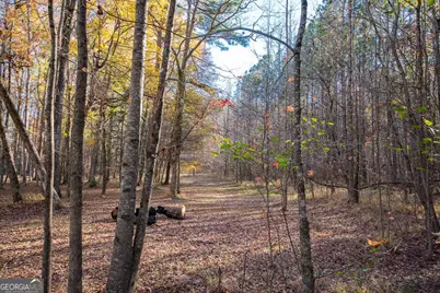 180 Stable Creek Road, Fayetteville, GA 30215 - Photo 3