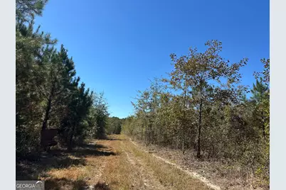 68 Sand Ridge Road, Rhine, GA 31077 - Photo 47