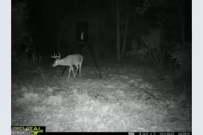 68 Sand Ridge Road, Rhine, GA 31077 - Photo 7