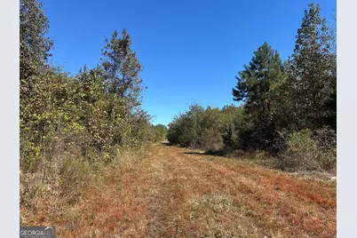 68 Sand Ridge Road, Rhine, GA 31077 - Photo 39