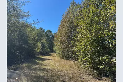 68 Sand Ridge Road, Rhine, GA 31077 - Photo 51