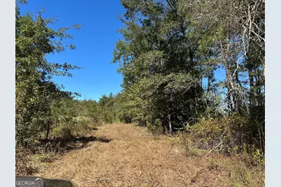 68 Sand Ridge Road, Rhine, GA 31077 - Photo 45