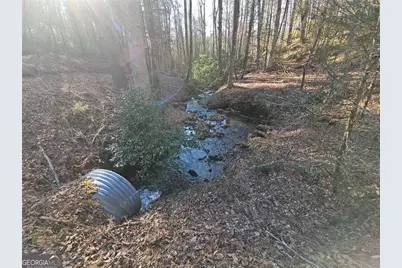 216 Sourwood Drive, Blue Ridge, GA 30513 - Photo 63