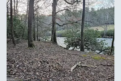 216 Sourwood Drive, Blue Ridge, GA 30513 - Photo 67