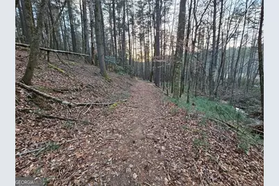 216 Sourwood Drive, Blue Ridge, GA 30513 - Photo 65